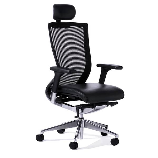 image of bilanci executive chair for offices